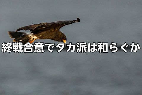 終戦合意でドル売り株高進行。各国中央銀行のタカ派姿勢は和らぐのか