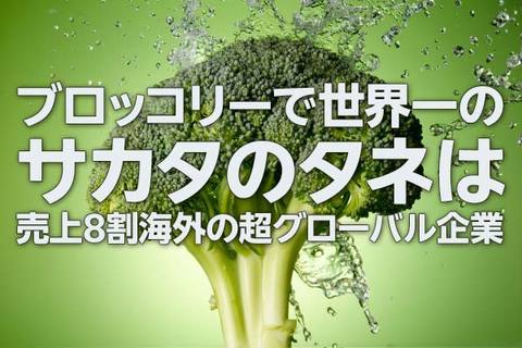 サカタのタネ株に「割安感」、ブロッコリー世界1位・M＆Aで急拡大もPBR低迷（西 勇太郎）