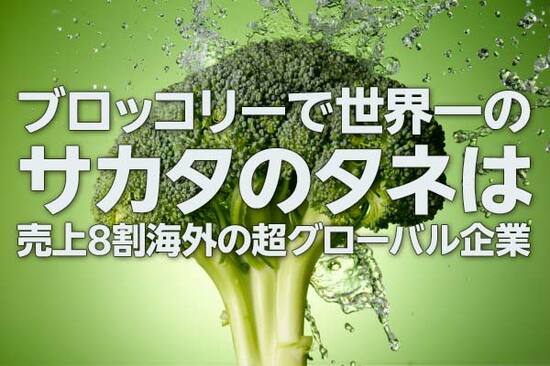 サカタのタネ株に「割安感」、ブロッコリー世界1位・M＆Aで急拡大もPBR低迷（西 勇太郎）