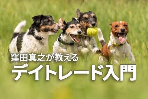 窪田真之が教える「デイトレード入門」、かぶミニ活用（窪田真之）