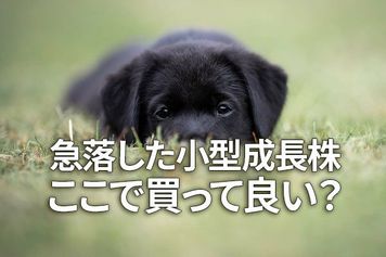 急落した小型成長株、ここで買って良い？