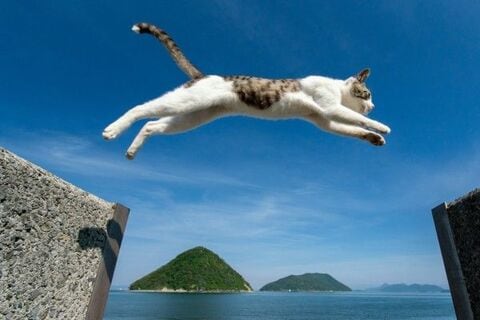 2019年のGW10連休相場を推測!「連休前後は荒れ相場」は本当か?