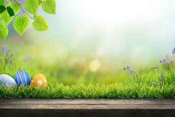 今週は2万8,000円台での値固めができるか注目。米国の決算発表次第では上値に期待