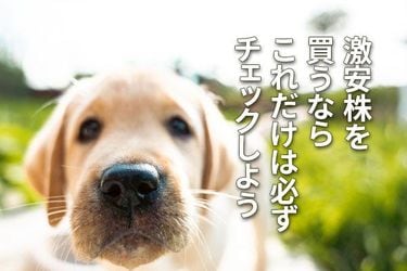 クリアランス bbセキュリティー 株価