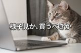 【クイズ】大幅上昇後の下落はチャンス?株価チャートから見極めよう