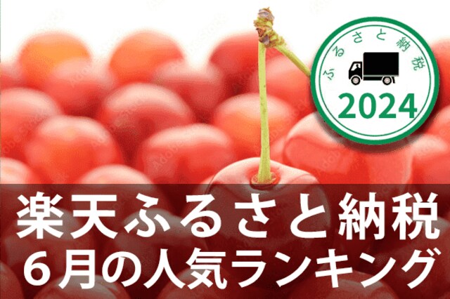 ふるさと納税］2024年6月の人気返礼品トップ10 | トウシル 楽天証券の