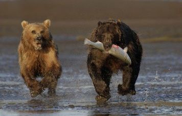 次に大きなトレンドが発生する市場は外為市場か！？