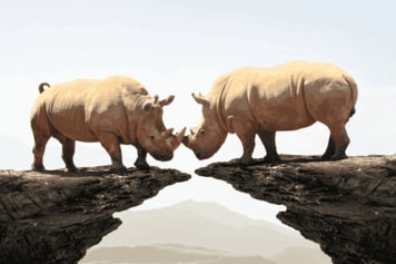 米利下げ巡りFRBと市場で隔たり、ドル上値勢いなく