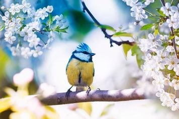 日経平均株価は3万1,388円でスタート~注目の5銘柄を分析