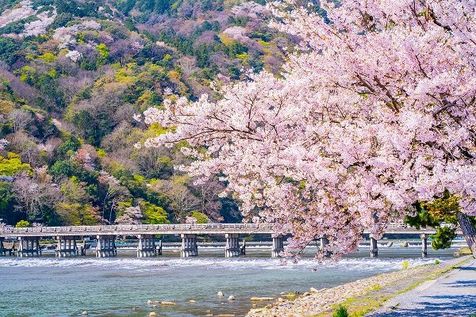 先週のトウシル記事3選：中東依存9割超。日本の原油備蓄と隠れたリスク・「NISA貧乏」を防ぐ資産形成・株価乱高下で心がザワザワするときは？