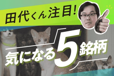 【2025年12月】過熱相場に焦らない!「株主優待で長期投資」銘柄