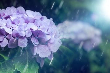 日経平均株価は3万1,864円でスタート~注目の5銘柄を分析