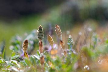 先週のトウシル記事3選：中東危機で相場急落、株の売り時と買い時とは？・エヌビディア：AI投資の現実と期待の差・NISAの中身、分かってますか？