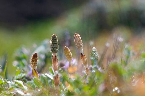 先週のトウシル記事3選：中東危機で相場急落、株の売り時と買い時とは？・エヌビディア：AI投資の現実と期待の差・NISAの中身、分かってますか？