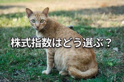 【クイズ】積立投資は何がいい？日経平均・TOPIX・S＆P500・ナスダック・NYダウ