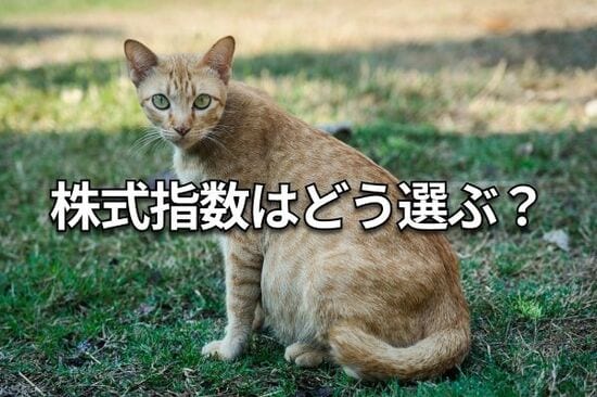 【クイズ】積立投資は何がいい？日経平均・TOPIX・S＆P500・ナスダック・NYダウ