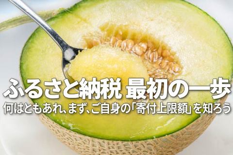 ふるさと納税：生活防衛型に注目、「訳あり」も人気（窪田真之）