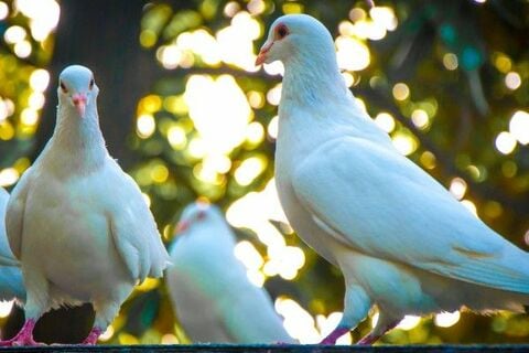 2018年の米国『FOMC参加者』の顔ぶれは？