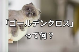 儲かって笑いのとまらない株式欄の読み方 スピードマスター 株で儲ける! 損切りの一番やさしい教科書