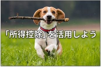 【投資クイズ】NISAとiDeCo、節税メリットがより大きいのは？