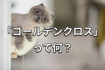 【クイズ】テクニカル分析の基本、「ローソク足」と「移動平均線」を学ぼう