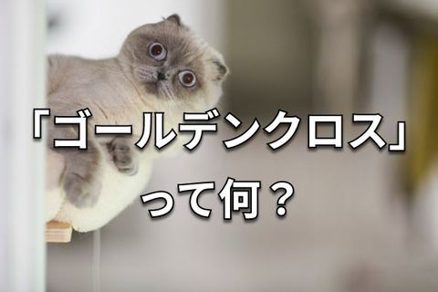 【クイズ】テクニカル分析の基本、「ローソク足」と「移動平均線」を学ぼう