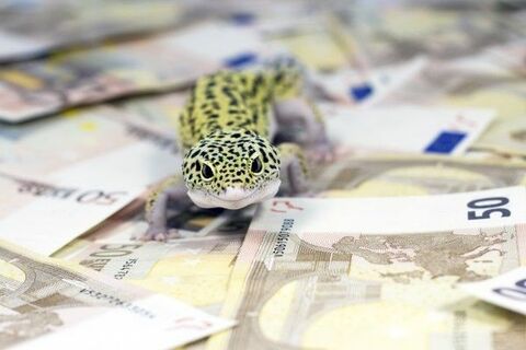 イタリア発の株価波乱？押し目はセクター選別の好機