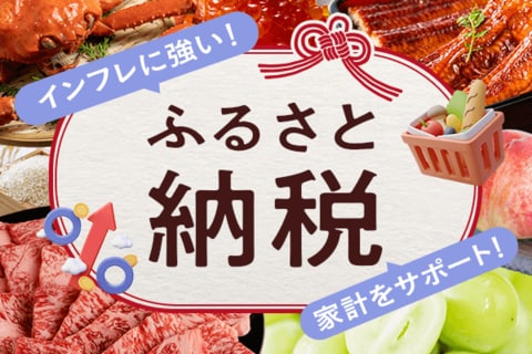 2025年版！インフレを強力サポート！ふるさと納税特集
