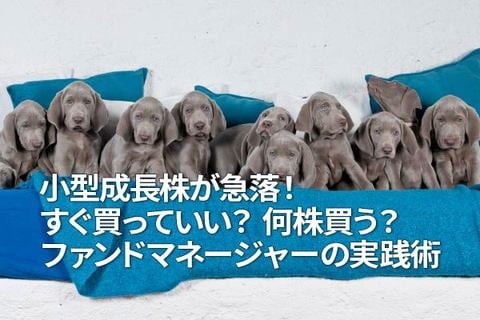 小型成長株が急落！すぐ買っていい？何株買う？ファンドマネージャーの実践術