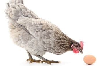 知識を蓄えて投資デビューより、経験を積んで知識を蓄えよう