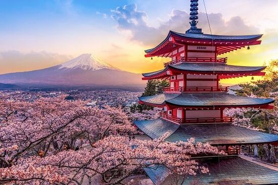 トランプ政権の嵐を乗り越えろ！関税の影響を受けにくい日本の〇〇株