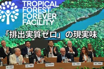 COP30で露呈した溝:地球温暖化を食い止める最良の対策は?