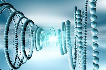 【1995(平成7)年11月11日】スーパーカミオカンデ完成