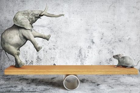 利益を最大化する株式投資の節税対策