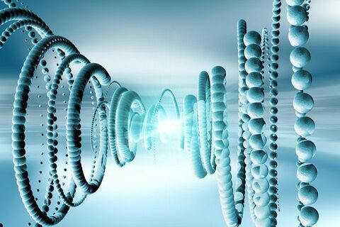 【1995（平成7）年11月11日】スーパーカミオカンデ完成