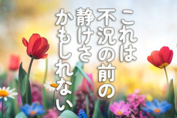 衝撃特価 バブル相場は終わった！！さあ、出陣しよう！！ www