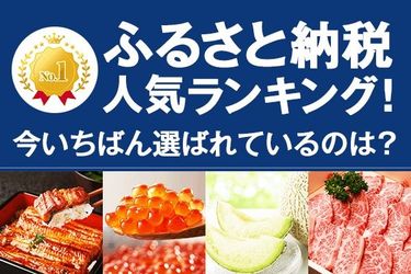 ふるさと納税 年11月の人気返礼品トップ10 トウシル 楽天証券の投資情報メディア