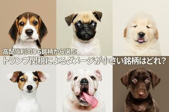 高配当利回り6銘柄から選ぶ：トランプ関税によるダメージが小さいのはどれ？今買って良い？