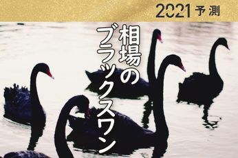 円高加速か？2021年相場の5つの「ブラックスワン」