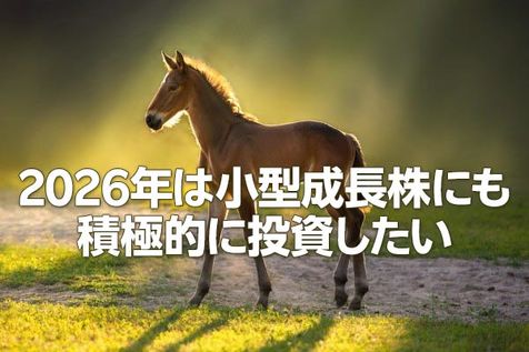 2026年日本株：主役は大型株から小型株へ（窪田真之）