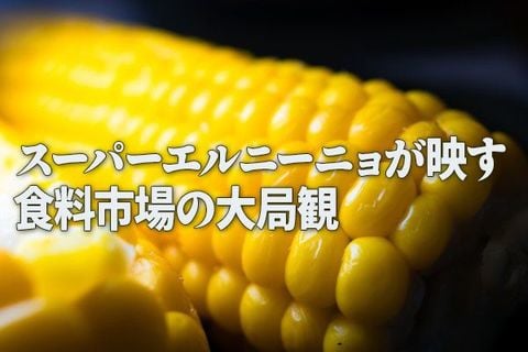 スーパーエルニーニョが映す食料市場の大局観