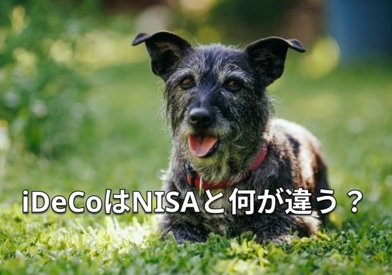 NISAよりも節税できる？今こそiDeCoをチェック！ 