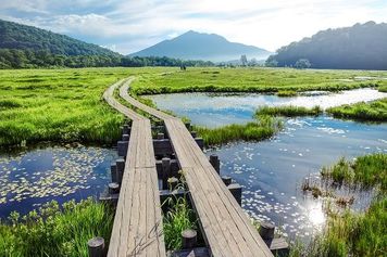 先週のトウシル記事3選：エヌビディアCEO訪中、米中対立のはざまでどう生きる？・配当利回り4％以上！利回り・優待妙味の高い銘柄5選・予算5万円の夏休みやりくり術