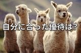 【クイズ】株主優待の「お得」を最大化する秘訣!あなたはどっちを選ぶ?