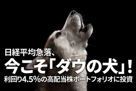 日経平均急落、今こそ「ダウの犬」！利回り4.5％の高配当株ポートフォリオに投資（窪田真之）