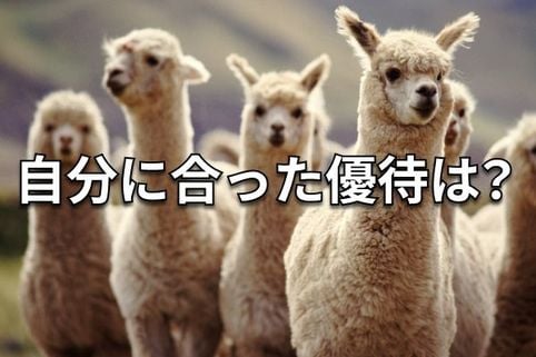 【クイズ】株主優待の「お得」を最大化する秘訣！あなたはどっちを選ぶ？