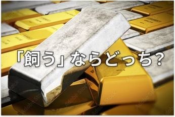 金(ゴールド)と猫、プラチナと犬、その意外な共通点