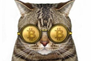 本当に安全？発行上限って？いまさら聞けないビットコインの超基本