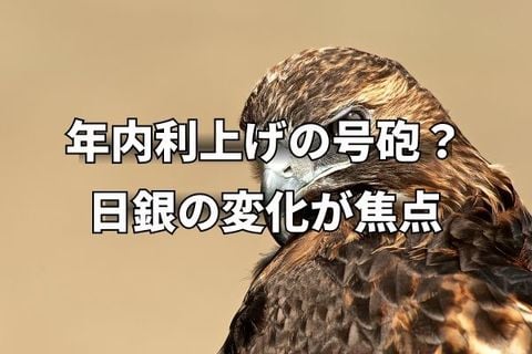 FRBの「タカ派的利下げ」、日銀の「ハト派的姿勢」で円安に。次の焦点は？