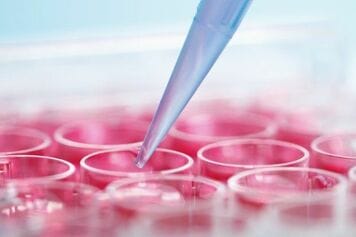 米国のバイオテクノロジー相場に復活の兆し